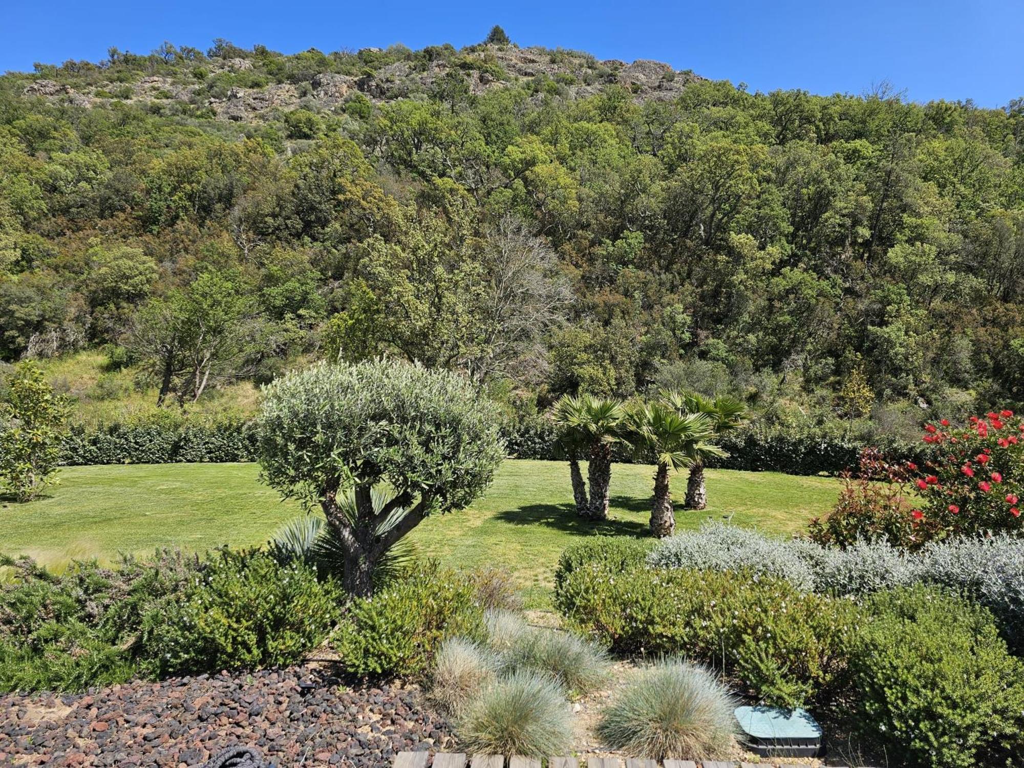 Villa Les Trois J Grimaud Kültér fotó